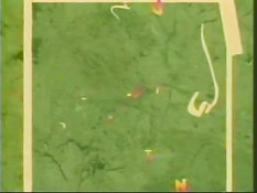 Сексуальные девчонки занимаются групповым сексом с мужчинами