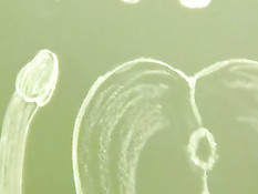 Худую русскую девушку на порно кастинге оттрахали в рот и в анус