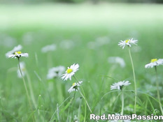 Романтичная блондинка насладилась куннилингусом и сделала минет