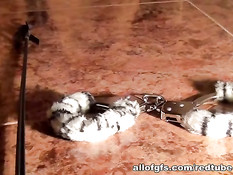 Он пристегнул девку в чёрном белье наручниками и отодрал раком