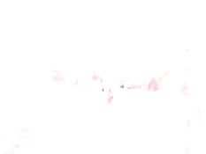 Горячие шлюхи Rachel Roxxx и Rachel Starr любят жёсткие секс игры