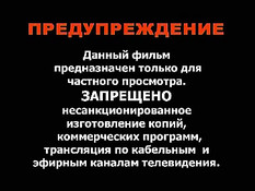 И в хвост, и в гриву