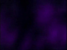 Бухаем то, что горит, имеем все, что шевелится