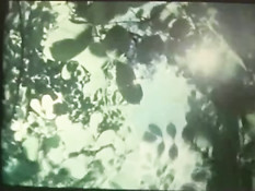 Порноактриса Desiree Cousteau участвует в групповых порно сценах