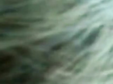 Парень крупным планом снимает видео, как тётка делает ему минет