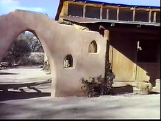 Pleasure in the shower