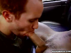 What the fuck is he doing