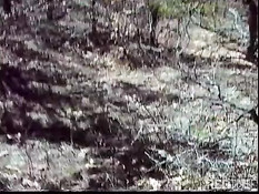 Horny gay cowboy in free nature