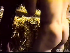 Hot studs having sex at the stable