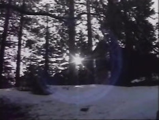 Collection of hot homosexual stuff