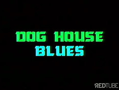 Dog house blues