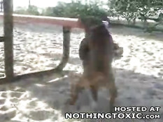 Horny dog jerks himself off