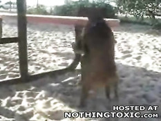 Horny dog jerks himself off