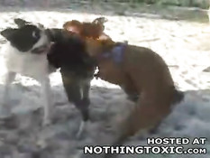 Horny dog jerks himself off