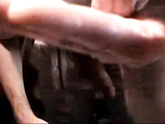 Scene stealer with swallow