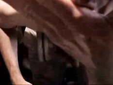 Scene stealer with swallow