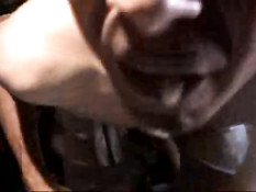 Scene stealer with swallow