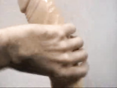 Scene stealer with swallow