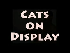 Madonna  - Justify my love