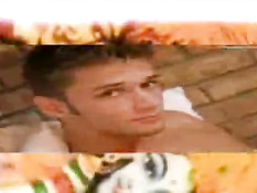 Gatos do Cesto - Kiss them for me 