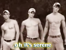 Gatos do Cesto - Kiss them for me 