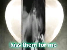 Gatos do Cesto - Kiss them for me 