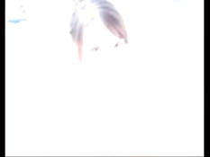 Germans have Sex in the Bathtub