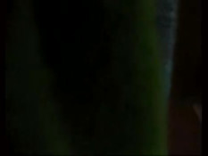 Germans have Sex in the Bathtub