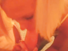 Blond chick sucks really nice