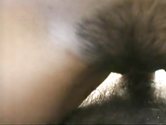 White Russians Vol. 1 / Белые Русские 1