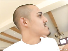 Горячая дамочка Janet Mason дала парню отлизать киску и отсосала