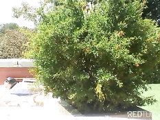 Мужчина надел презерватив и оттрахал страстную подружку в анус