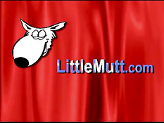 Девчонка в белом платье Malena Morgan вставляет в анус вибратор