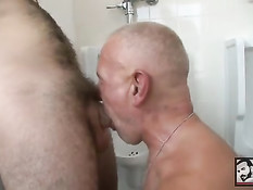 Молодой бородатый гей в туалете трахается с пожилым любовником