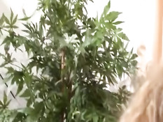 Опытные немецкие свингеры проводят время в сексуальных утехах