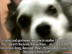 Девушка дрочит хуи и проглатывает сперму во время буккаке оргии