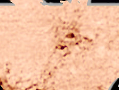 Связанную грудастую брюнетку отхлестали и отъебали вибратором