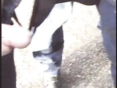 Французская девушка за городом в машине отсасывает парням члены