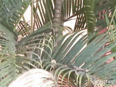 Гламурная блондиночка во дворе занимается сексом с лысым парнем