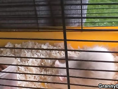 Дамочка заглянула в гости к молодому парню и соблазнила на секс