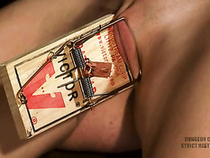 Привязанную шлюху с кляпом во рту Vanessa Naughty порют и ебут