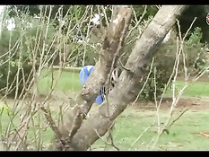 Спортивная сисястая брюнетка отсасывает парню и садится на член