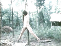 Голую девушку привязали к дереву в лесу и отхлестали по заднице