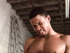 Два чёрных гея  дали отсосать член и оттрахали белого любовника