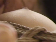 Японскую девку в чёрном белье связывают и снимают фотоаппаратом