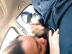 Водитель машины дрочит член, а мулаточка облизывает ему мошонку