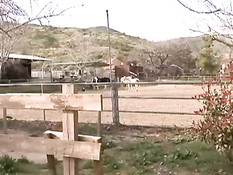 Сисястая чёрная лесбиянка Sincerre LeMore оттрахала Skin Diamond