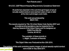 Пожилая блондинка Pam Roberts раздевается и мастурбирует киску