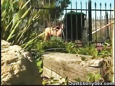 Негритяночка на вилле возле бассейна отсасывает и ебётся с белым