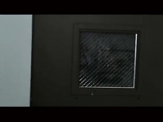 Шоколадная лесбиянка Skin Diamond отлизала киску Kleio Valentien